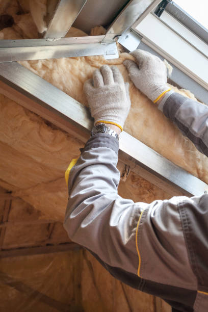 Best Insulation Maintenance and Repair in Pandora, OH