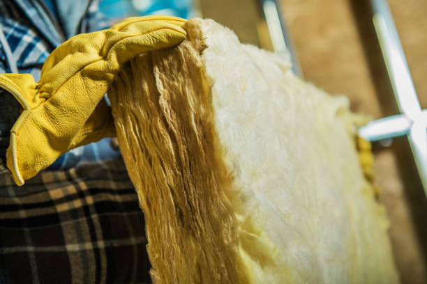 Best Spray Foam Insulation in Pandora, OH