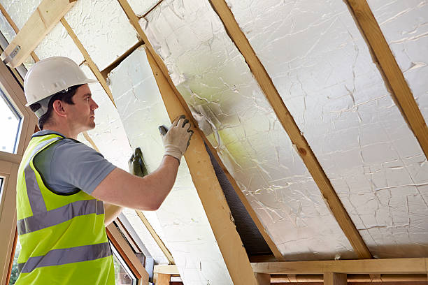Best Residential Insulation in Pandora, OH